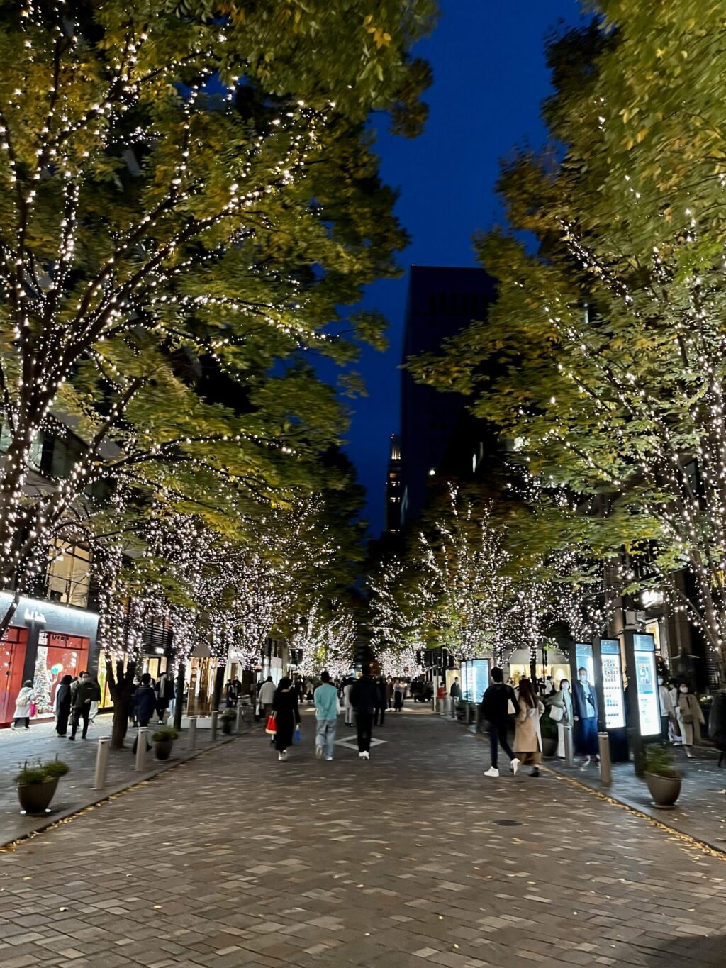 丸の内仲通り：新東京ビル、二重橋スクエア3