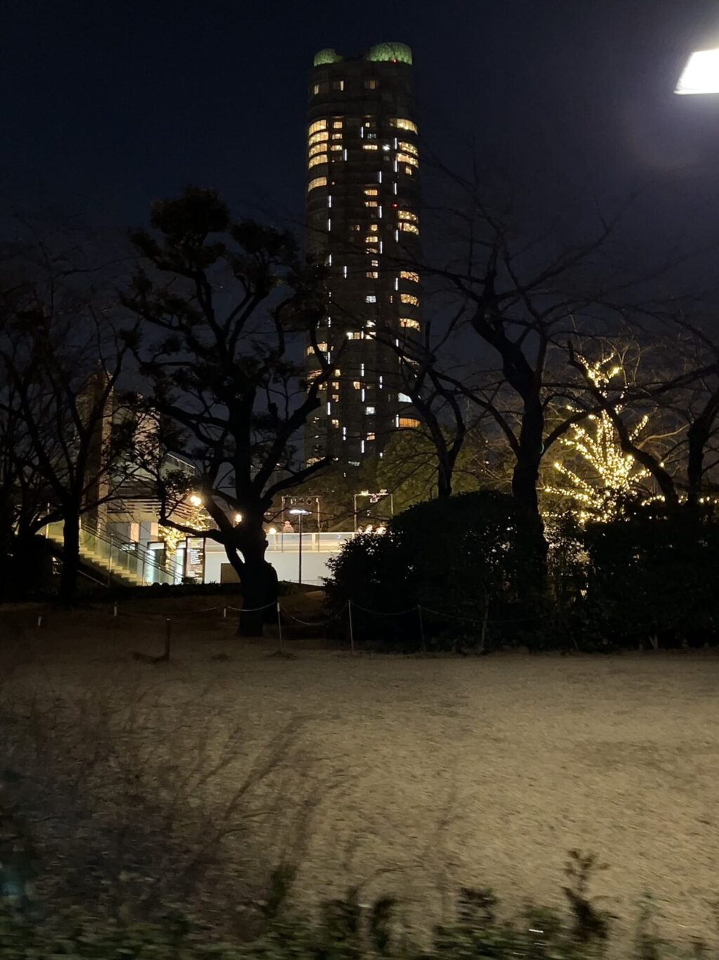 檜町公園とパークコート赤坂檜町ザ・タワー3