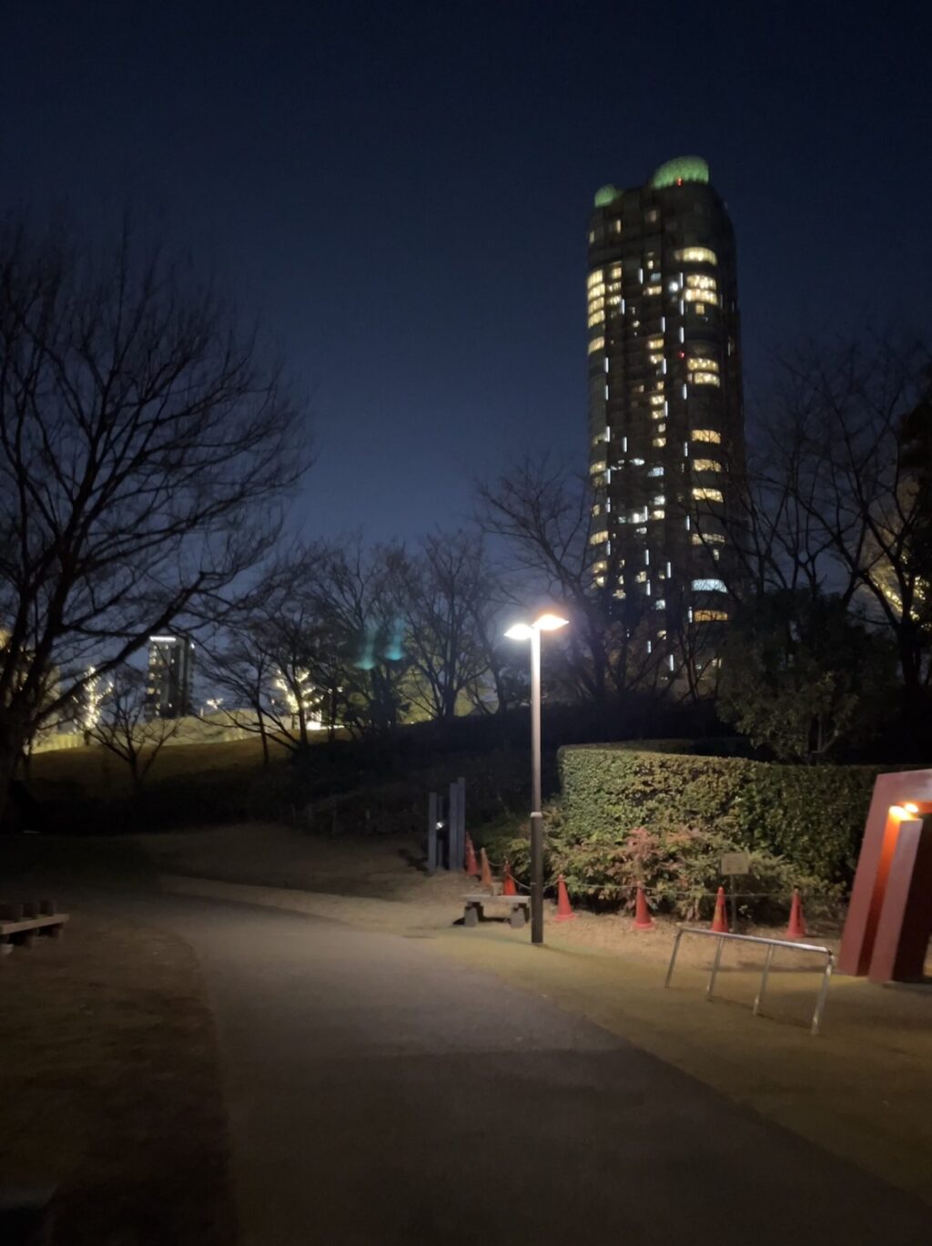 檜町公園とパークコート赤坂檜町ザ・タワー2